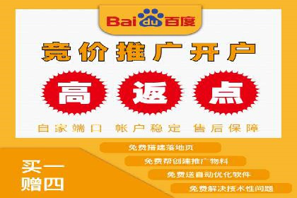 某知名品牌SEM运营策略及效果评估